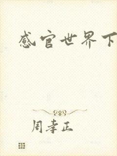 感官世界下载