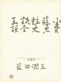 王铁柱苏小汐小说全文免费阅读最新章节