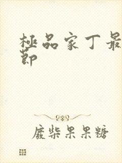 极品家丁最新章节