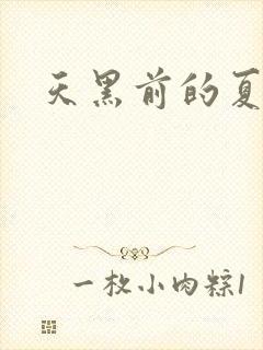天黑前的夏天