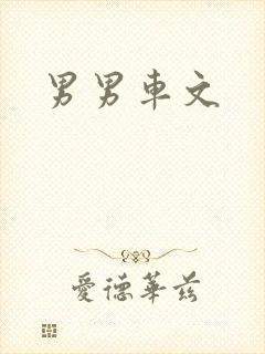 男男车文