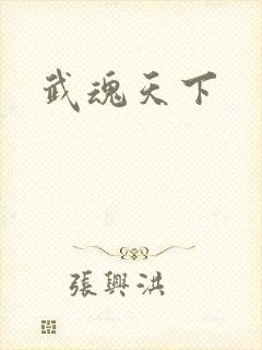 武魂天下