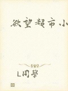 欲望超市小说