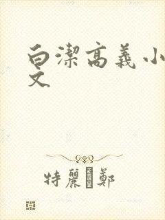 白洁高义小说全文