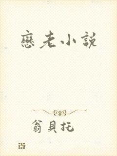 恋老小说