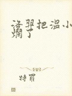 洛羿把温小辉做烂了