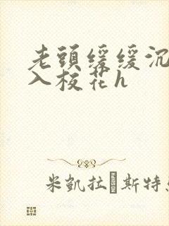 老头缓缓沉腰进入校花h