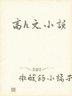 高h文小说