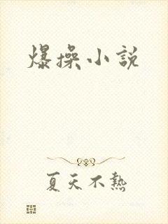 爆操小说