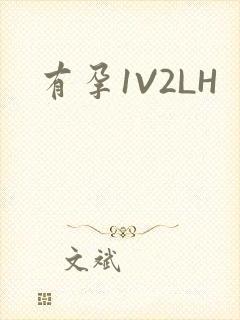 有孕1V2LH