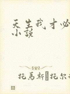 天生我才必有用小说