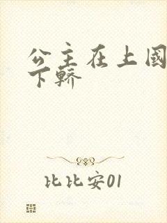 公主在上国师请下轿