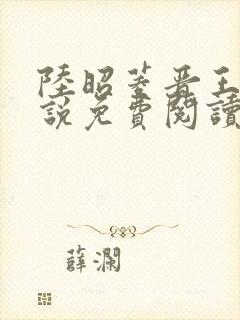 陆昭菱晋王的小说免费阅读