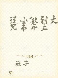 从小做到大骨科兄弟年上