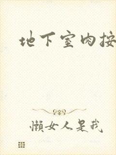 地下室肉按摩椅