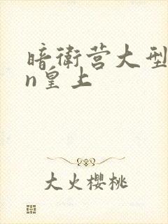 暗卫营大型hpn皇上