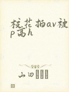 校花拍av被np高h