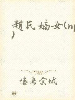 赵氏嫡女(np)