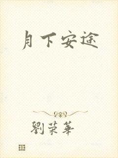 月下安途
