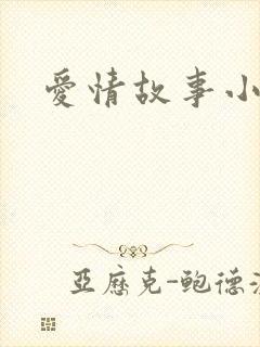 爱情故事小说