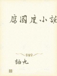 腐国度小说