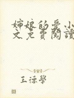 婶娘的爱小说全文免费阅读