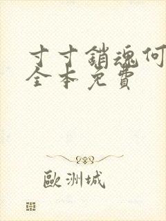 寸寸销魂何生祥全本免费