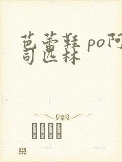 芭蕾鞋 po阿司匹林