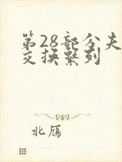 第28部分夫妇交换系列