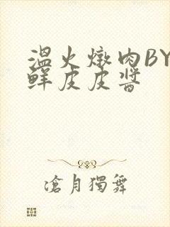 温火炖肉BY海鲜皮皮酱