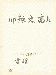 np辣文高h