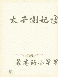 太子侧妃傻乎乎