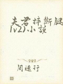 夫君摔断腿后(1v2)小说