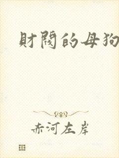 财阀的母狗们