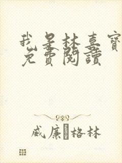 我是林喜宝小说免费阅读