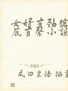 女婿有劲枪枪到底有声小说