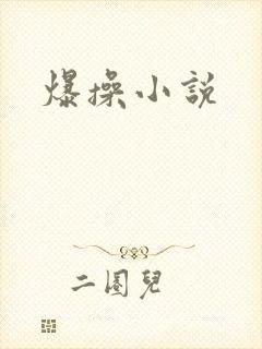 爆操小说