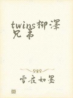 twins柳泽兄弟