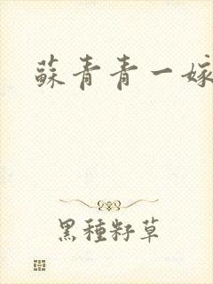 苏青青一嫁三夫