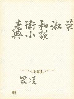 老卫和淑荣的经典小说