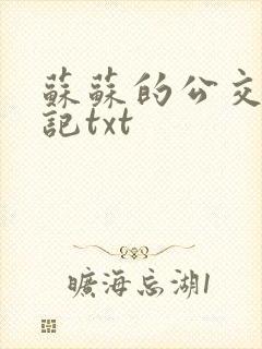 苏苏的公交车日记txt