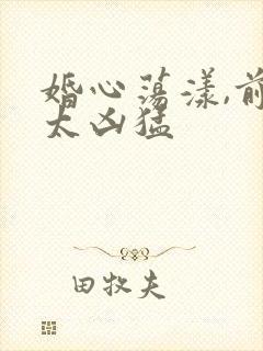 婚心荡漾,前夫太凶猛