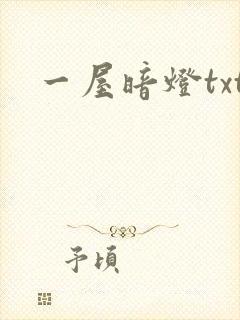 一屋暗灯txt