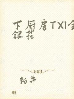 下厨房TXl金银花