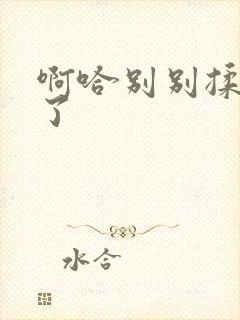 啊哈别别揉那处了