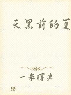 天黑前的夏天