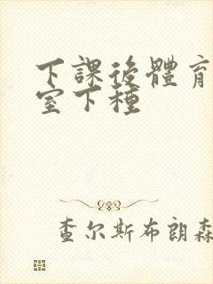 下课后体育器材室下种