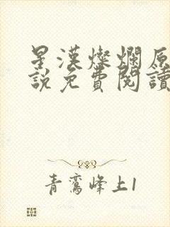 星汉灿烂原著小说免费阅读