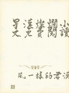 星汉灿烂小说全文免费阅读