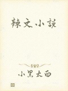 辣文小说